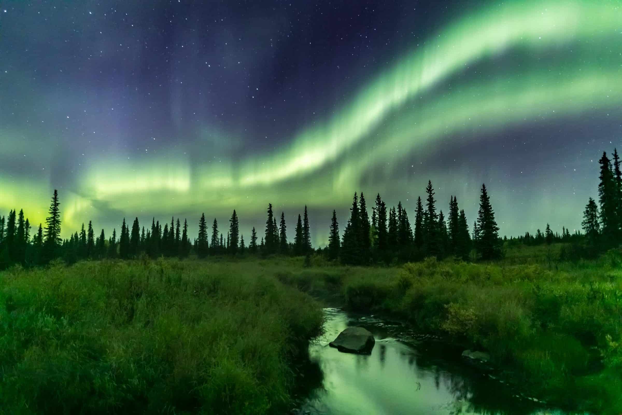 Workshops | Aurora Dora