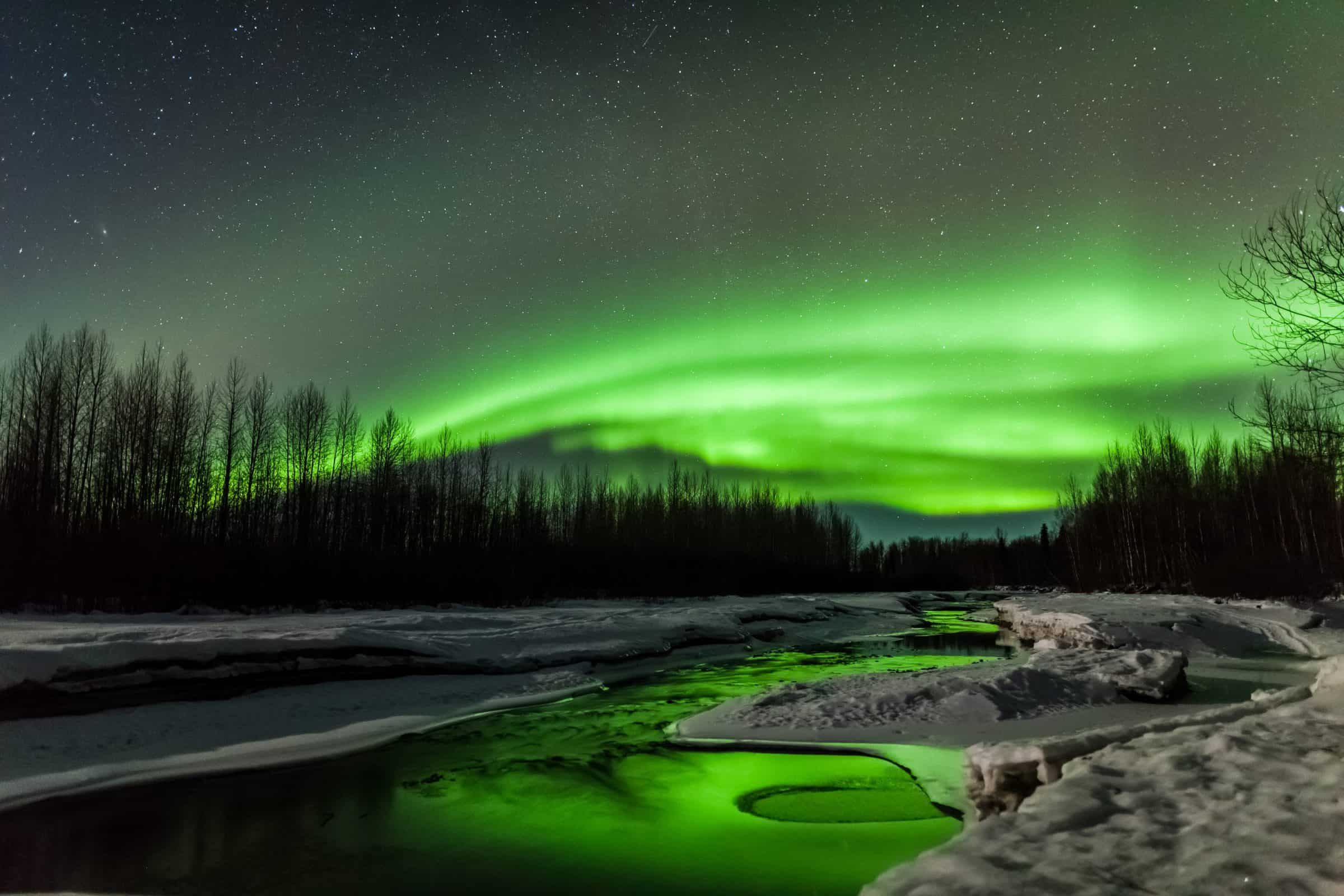 Workshops | Aurora Dora