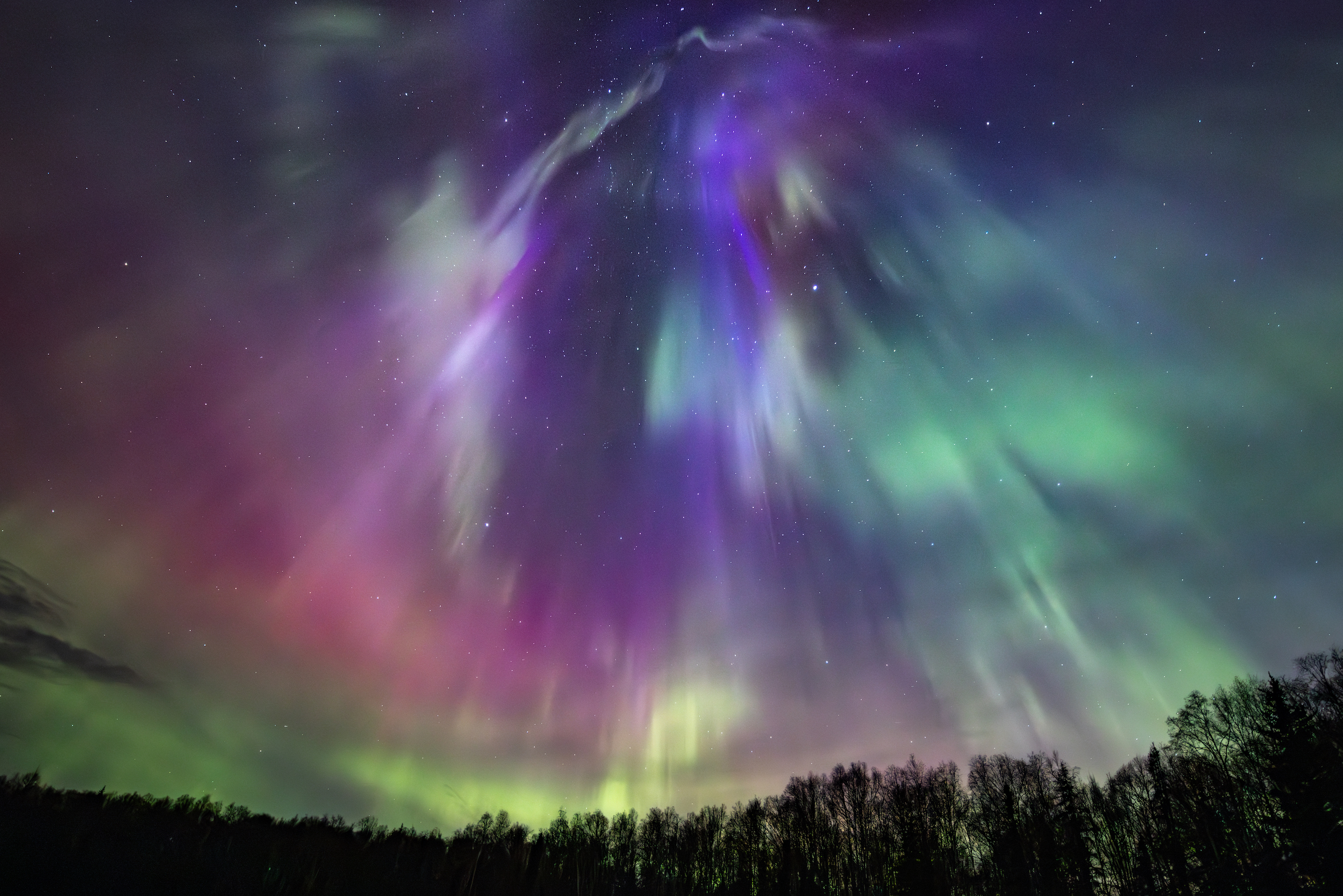 Workshops | Aurora Dora