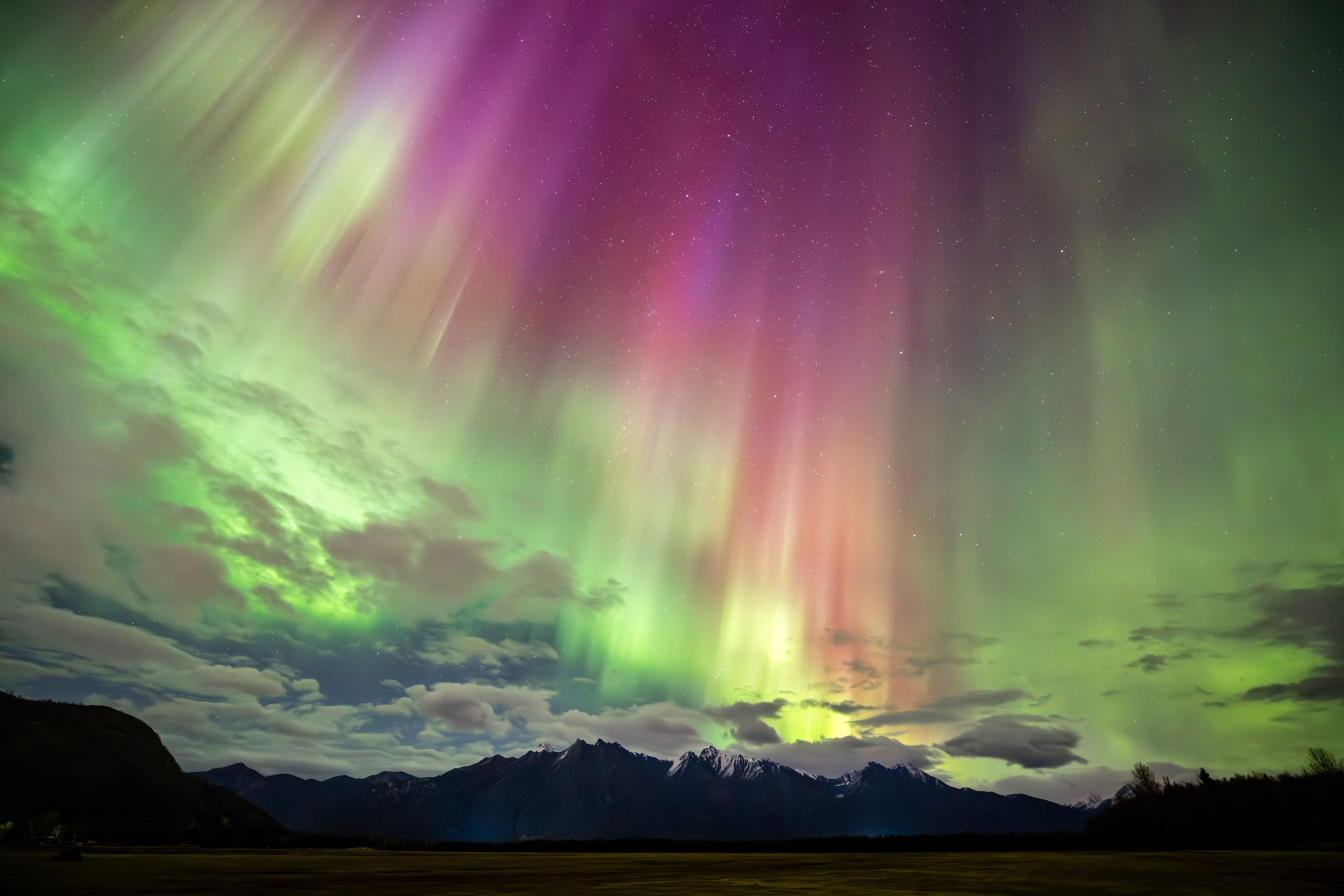 Workshops | Aurora Dora